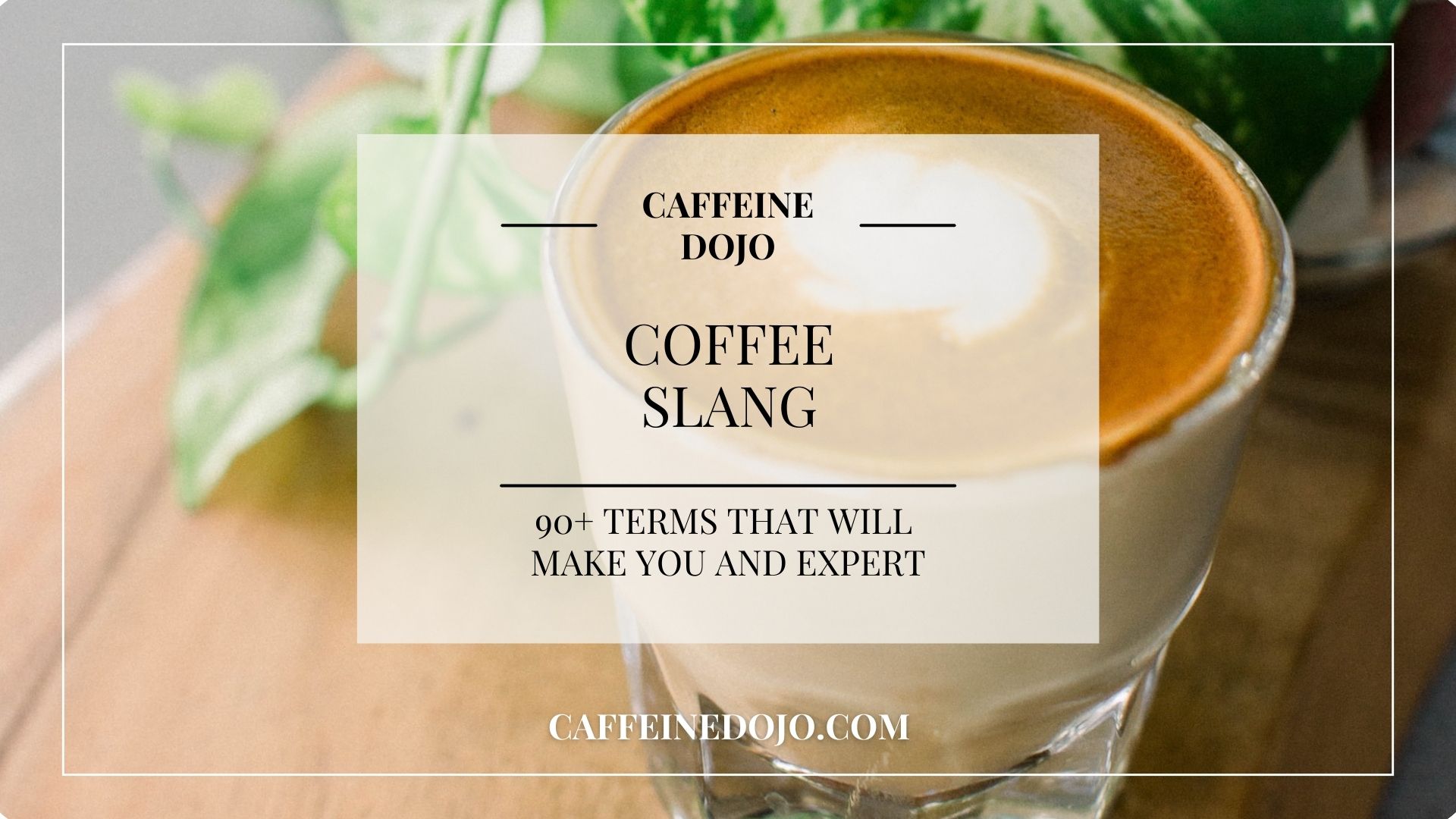 coffee-slang-90-terms-that-make-you-a-coffee-expert